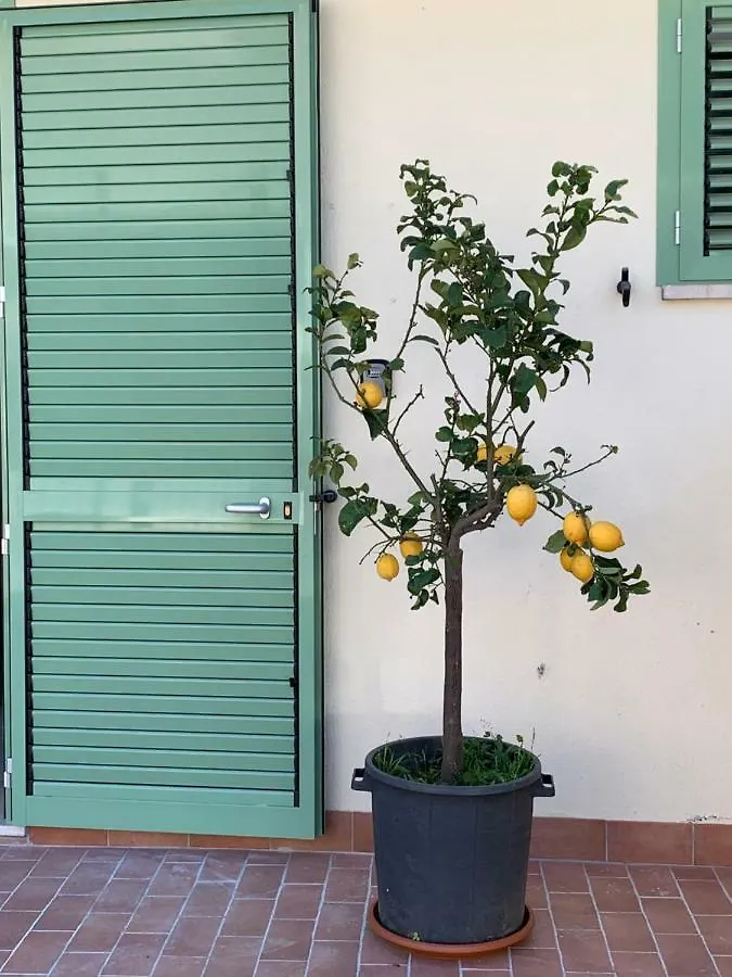 Holiday home Il Sementone Santa Maria Villa Assisi Italy